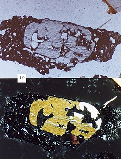 A porphyritic volcanic sand grain, as seen under the petrographic microscope. The large grain in the middle is of a much different size class than the small needle-like crystals around it. Scale box in millimeters.