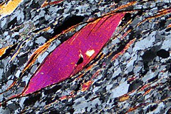 Texture in a thin section of mylonitic quartzite from the Alps, Italy