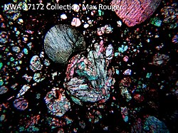Thin slice of ordinary chondrite NWA 17172 observed under polarized light/analyzed.