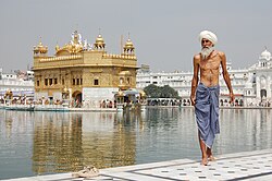 Sikh pilgrim at the Harmandir Sahib (the Golden Temple) in Amritsar, India.