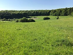 The Trockenmaar on the Hohe List(1 km SW of Schalkenmehren)
