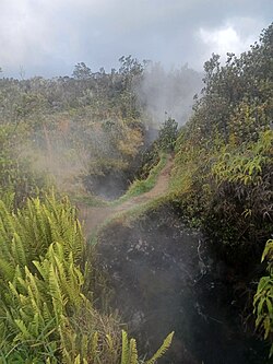 Steam venting from fissures inside Kaluapele, October 2022