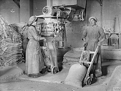 Workers bagging cement in a factory in Scotland, 1918