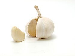Garlic bulb with a removed clove peeled