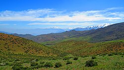 Pre andean landscape