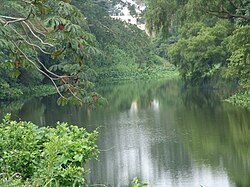 The Jamapa River