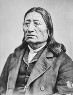 Chief Iron Nation