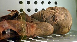 Guanche mummy in Museo de la Naturaleza y el Hombre (Tenerife, Spain).