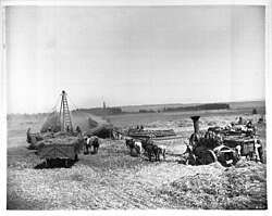 Threshing on the Freeman property about 1900