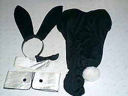 Bunny Girl outfit, worn by employees of the Playboy clubs.