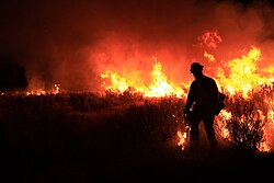 A wildland firefighter from the Idaho Bureau of Land Management lays down fire from a driptorch.