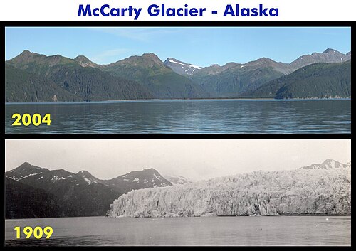 Alaska's McCarty Glacier retreated about 15 kilometres (9.3 mi) in less than a century, and dense, diverse vegetation has become established on the slopes.[1]