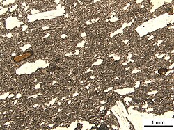 Photomicrograph of thin section of tholeiitic basalt (in plane polarized light)