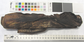 The 16th century Diss Heywood scroll, which is severely charred.