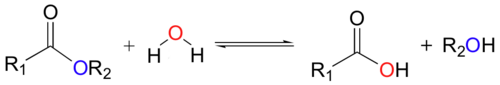 Generic hydrolysis reaction. (The 2-way yield symbol indicates a chemical equilibrium in which hydrolysis and condensation are reversible.)