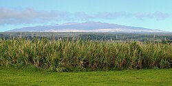 Mauna Kea from the Saddle Road near Hilo