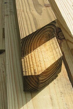 Special fasteners are used with treated lumber because of the corrosive chemicals used in its preservation process.
