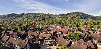 Minangkabau settlement in Nagari Koto Baru, now known as Seribu Rumah Gadang.