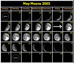The phases of the moon