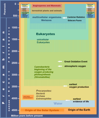 Timescale