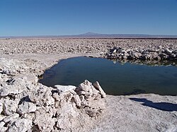 Some lake water highstands of Salar de Atacama are associated with Lake Tauca's main highstand phase