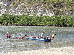 Fisherman at Moya beach, Petite-Terre