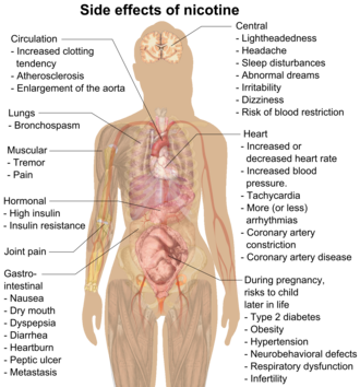 A diagram depicting the side effects of consuming nicotine