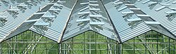 Greenhouses like these in the Westland municipality of the Netherlands grow vegetables, fruits and flowers.