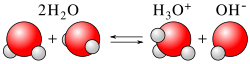 The amphoteric nature of water