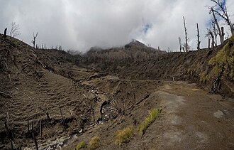 Visual effects of acid rain in Costa Rica: leafless and decaying trees, eroded soil, and a large loss of vegetation.