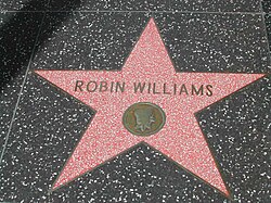 Star on the Hollywood Walk of Fame