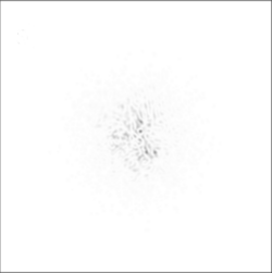 Simulated negative image showing what a single (point-like) star would look like through a ground-based telescope with a diameter of 20r0. The atmosphere causes further atomization of the image into many blobs (speckles). As above, the speckles move around very rapidly, so that in a long-exposure photograph the star would appear as a single blurred blob.