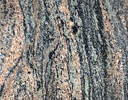 Migmatite featuring felsic minerals, at Morton Gneiss Complex
