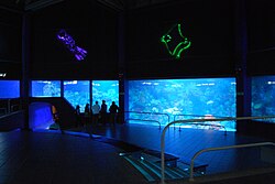 Veracruz Aquarium