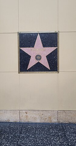 Muhammad Ali's star, a live performance emblem below his name, on a single black terrazzo slab with a metal border, the border surrounded by tan wall slabs, with a row of tile fillet where the wall meets the black terrazzo slab-covered floor