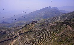 Agricultural terraces in the Haraz-Sarat Mountains