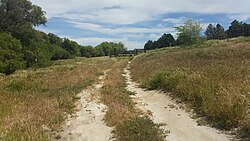 Remains of the Southern Emigrant Trail at Warner's Ranch in 2017