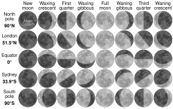 The observed orientation of the Moon at different phases from different latitudes on Earth (the different orientation displayed between the phases at each latitude show merely the extremes of orientation due to libration)