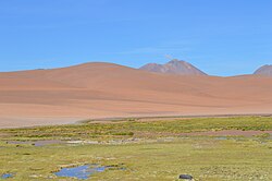 A green wetland in the foreground with sandy dry peaks in the background on a blue sky