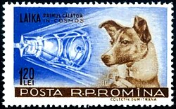 Laika on a Romanian post stamp