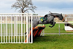 A horse free-jumping a steeplechase-type hurdle