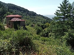 Crumbling stone buildings amid vegetation in the abandoned village of Roveraia