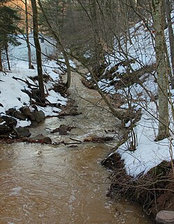 Meltwater in early spring in a stream in Pennsylvania, USA