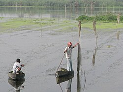 Sustainable fishing in India, an example of wise use