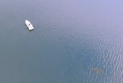 Still shot from 5 minute drone footage of Champ swimming behind boat containing two lead actors in the "Lucy & the Lake Monster" film