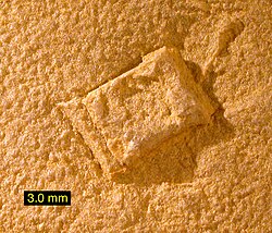 Hopper crystal cast of halite in a Jurassic rock, Carmel Formation, southwestern Utah