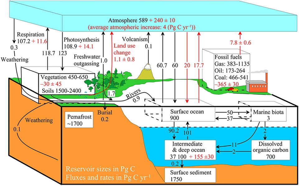 More complex model with many interacting boxes. Export and burial rates of terrestrial organic carbon in the ocean[27]