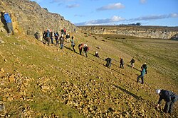 Palaeontological Association field trip to Spaunton Quarry, Yorkshire (December 2014). The main rock unit is the Coralline Oolite Formation (Upper Jurassic).
