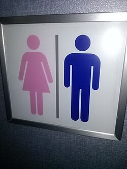 This restroom sign on an All Nippon Airways Boeing 767-300 uses pink for the female gender