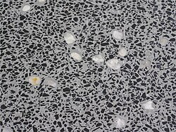 basalt polished concrete floor